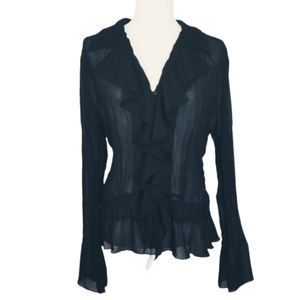 Womens LARGE Sheer Long Sleeve Top ( ON HOLD)
